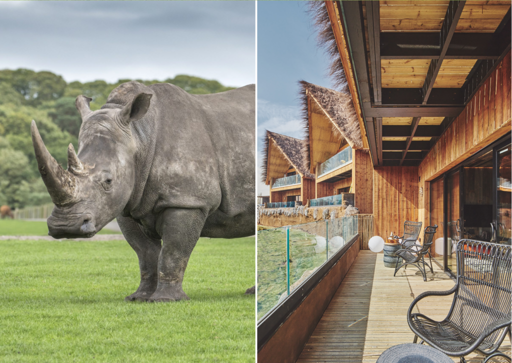 Win an overnight stay for six people in a private Rhino Lodge at the West Midlands Safari Park